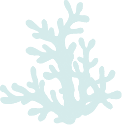 alga-azzurra